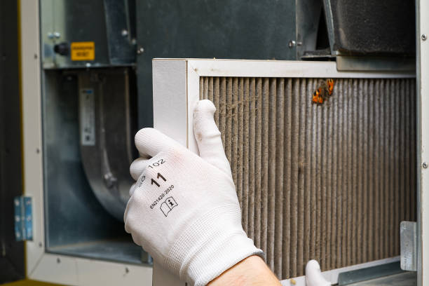 Best Dryer Vent Cleaning Services  in Cactus, TX