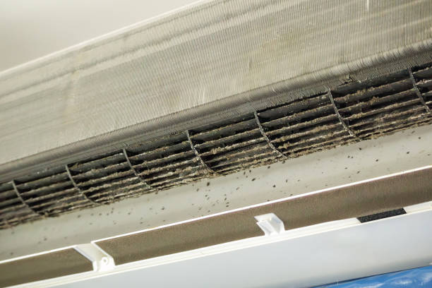 Best Affordable HVAC Duct Cleaning  in Cactus, TX