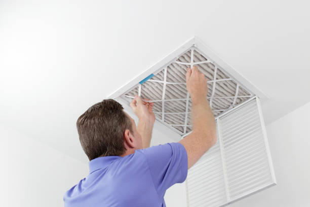 Best Home Air Vent Cleaning  in Cactus, TX